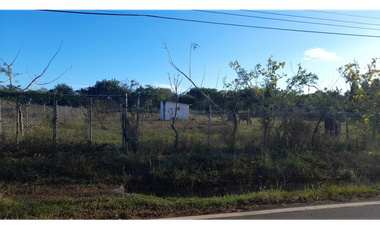 VENTA DE LOTE EN PARITA HERRERA 1,000MTS ORILLA DE CALLE