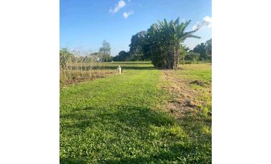 VENDO 3.7 HAS CON.CASA