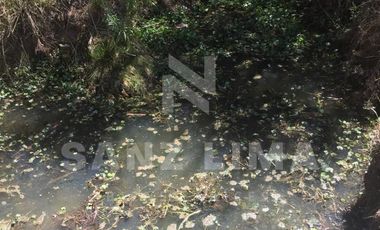 NEUTLA: TERRENO PARA PROYECTO TURÍSTICO