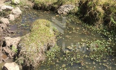 NEUTLA: TERRENO PARA PROYECTO TURÍSTICO