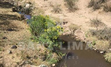 NEUTLA: TERRENO PARA PROYECTO TURÍSTICO