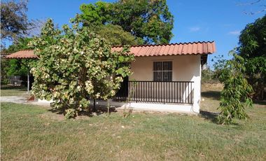 ALQUILER DE CASA EN EL COCO - PENONOME