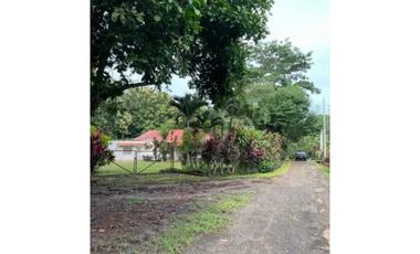 VENDO FINCA DE TECA Y CAFE EN LA CHORRERA