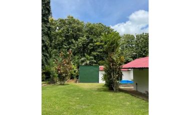 VENDO FINCA DE TECA Y CAFE EN LA CHORRERA