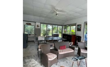 VENDO FINCA DE TECA Y CAFE EN LA CHORRERA