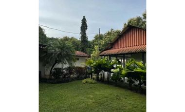 VENDO FINCA DE TECA Y CAFE EN LA CHORRERA