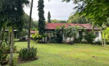 VENDO FINCA DE TECA Y CAFE EN LA CHORRERA