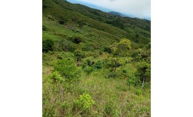 VENDO FINCA DE 30 HECTAREAS CON AGIA VIVA
