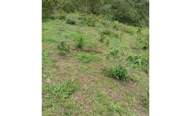 VENDO FINCA DE 30 HECTAREAS CON AGIA VIVA