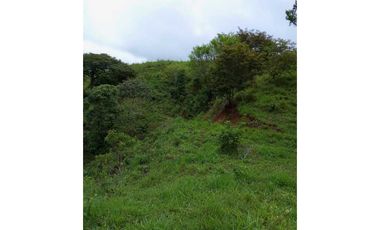 VENDO FINCA DE 30 HECTAREAS CON AGIA VIVA
