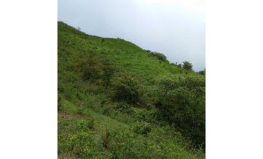 VENDO FINCA DE 30 HECTAREAS CON AGIA VIVA