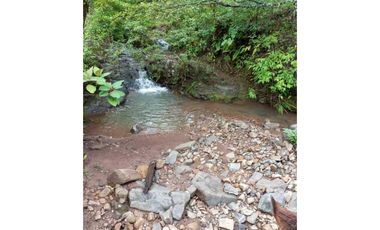 VENDO FINCA DE 30 HECTAREAS CON AGIA VIVA