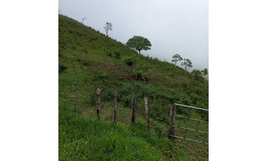 VENDO FINCA DE 30 HECTAREAS CON AGIA VIVA