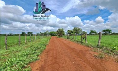 VENDO FINCA DE 9HECTAREAS TOP PLANAS