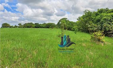 VENDO FINCA DE 9HECTAREAS TOP PLANAS