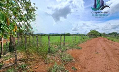 VENDO FINCA DE 9HECTAREAS TOP PLANAS