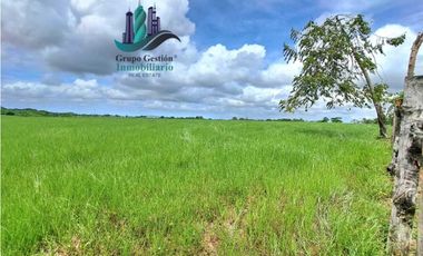 VENDO FINCA DE 9HECTAREAS TOP PLANAS