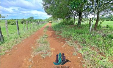 VENDO FINCA DE 9HECTAREAS TOP PLANAS