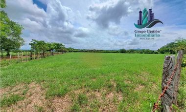 VENDO FINCA DE 9HECTAREAS TOP PLANAS