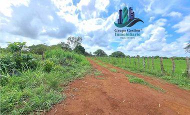VENDO FINCA DE 9HECTAREAS TOP PLANAS