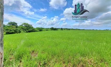 VENDO FINCA DE 9HECTAREAS TOP PLANAS