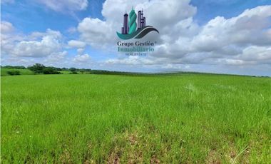 VENDO FINCA DE 9HECTAREAS TOP PLANAS