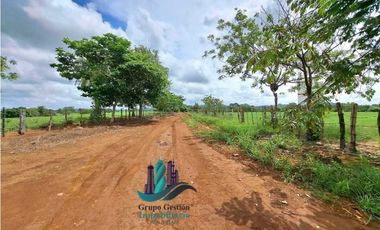 VENDO FINCA DE 9HECTAREAS TOP PLANAS