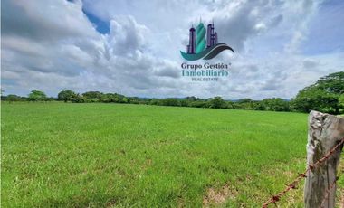 VENDO FINCA DE 9HECTAREAS TOP PLANAS