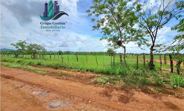 VENDO FINCA DE 9HECTAREAS TOP PLANAS