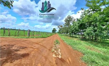 VENDO FINCA DE 9HECTAREAS TOP PLANAS