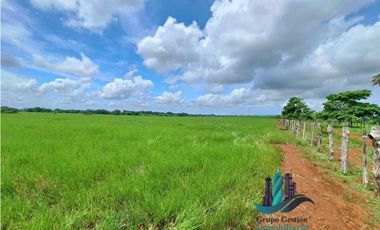 VENDO FINCA DE 9HECTAREAS TOP PLANAS