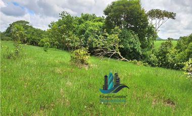 VENDO FINCA DE 9HECTAREAS TOP PLANAS