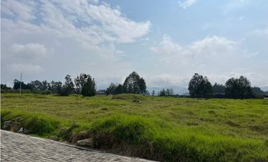 SE VENDE LOTE INDUSTRIAL 6.250 M2