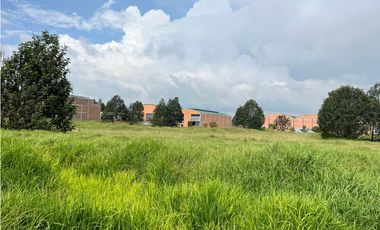 SE VENDE LOTE INDUSTRIAL 6.250 M2