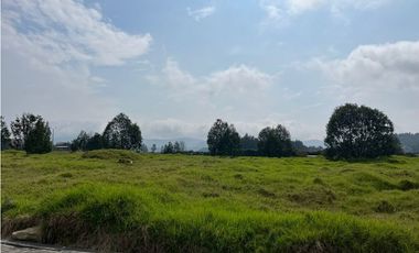 SE VENDE LOTE INDUSTRIAL 6.250 M2