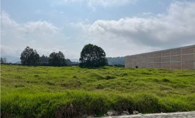 SE VENDE LOTE INDUSTRIAL 6.250 M2