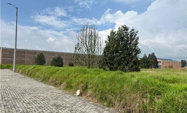 SE VENDE LOTE INDUSTRIAL 6.250 M2