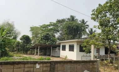 Land for sale in Pa O Don Chai, Chiang Rai