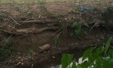 Land for sale in Pa O Don Chai, Chiang Rai