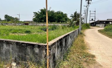 Land for sale in Phrong Maduea, Nakhon Pathom