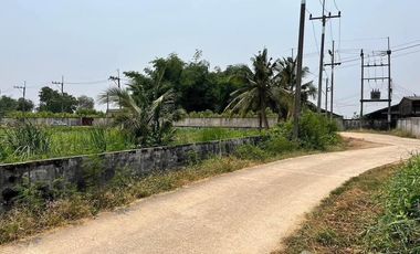 Land for sale in Phrong Maduea, Nakhon Pathom