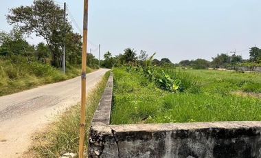 Land for sale in Phrong Maduea, Nakhon Pathom