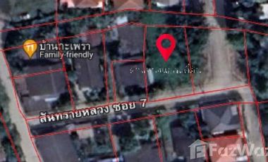 Land for sale in San Sai Luang, Chiang Mai