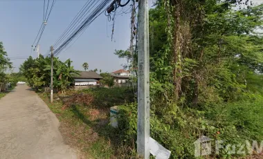 Land for sale in San Sai Luang, Chiang Mai