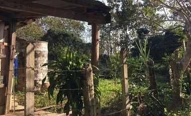 Land for sale in Pa Sang, Chiang Rai