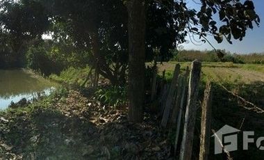 Land for sale in Pa Sang, Chiang Rai