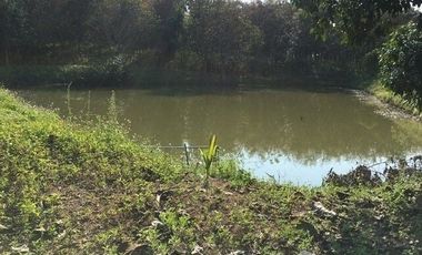 Land for sale in Pa Sang, Chiang Rai