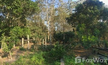 Land for sale in Pa Sang, Chiang Rai