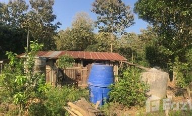 Land for sale in Pa Sang, Chiang Rai