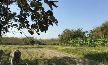 Land for sale in Pa Sang, Chiang Rai